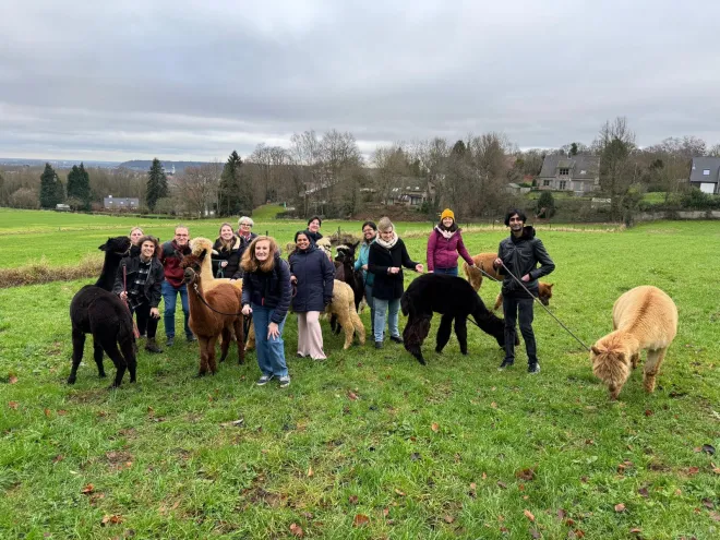 Alpaca walk 2024